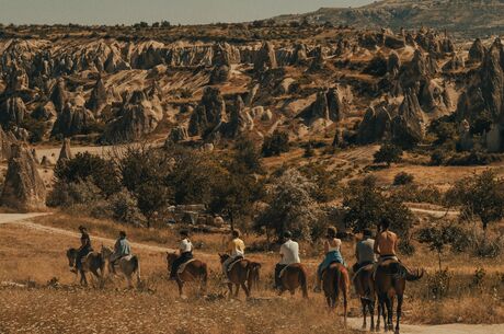 HORSE RIDING AN HOUR TOUR