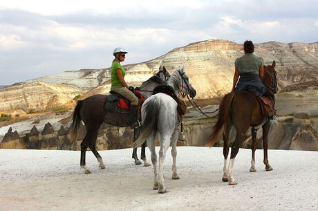 HORSE RIDING AN HOUR TOUR